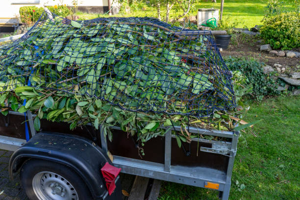 Best Dumpster Rental Services  in Adamstown, MD